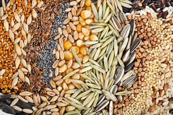 Oilseeds & Kernels