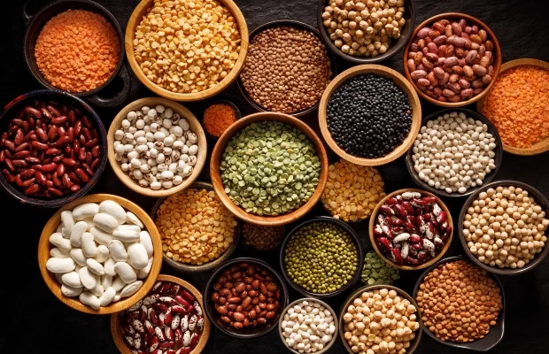 Pulses, Lentils & Legumes